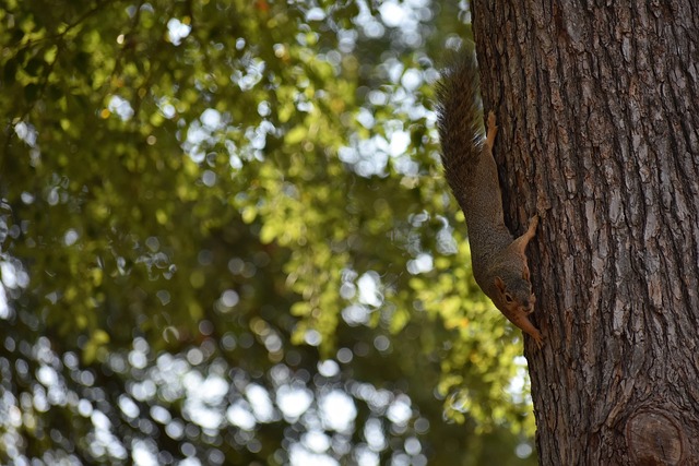 场比赛中 场比赛中