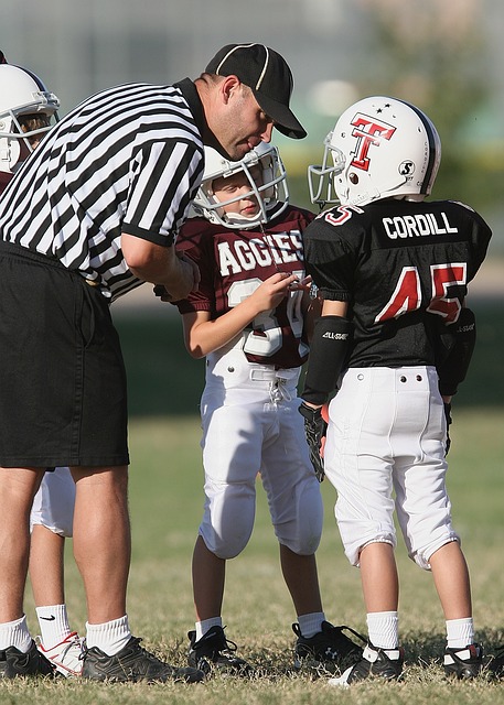 今年的附加 今年的附加