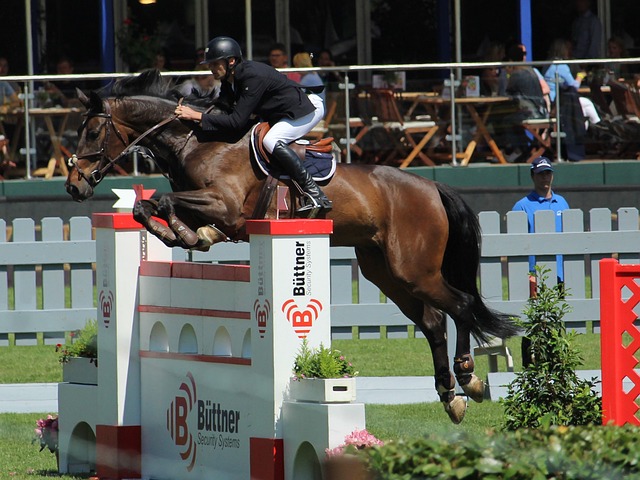 场控制力 场控制力