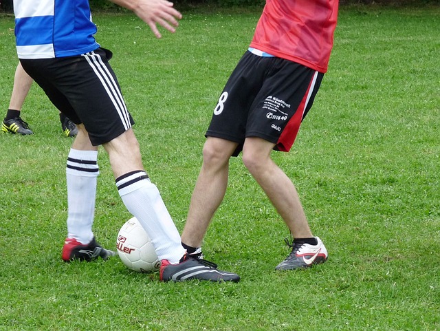 界排名攀升 界排名攀升