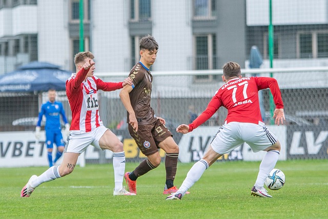 他巨星的对 他巨星的对