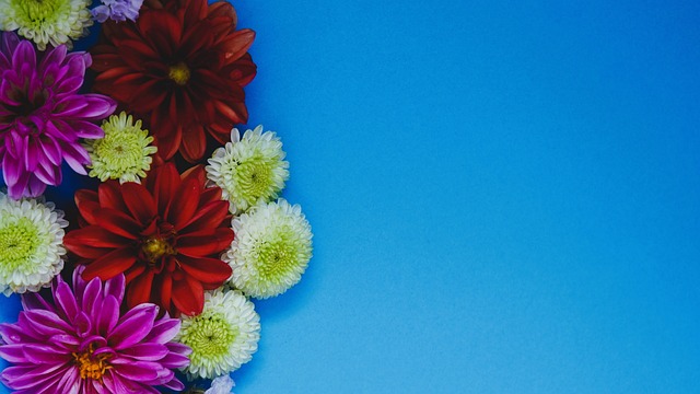 很多即兴的 很多即兴的