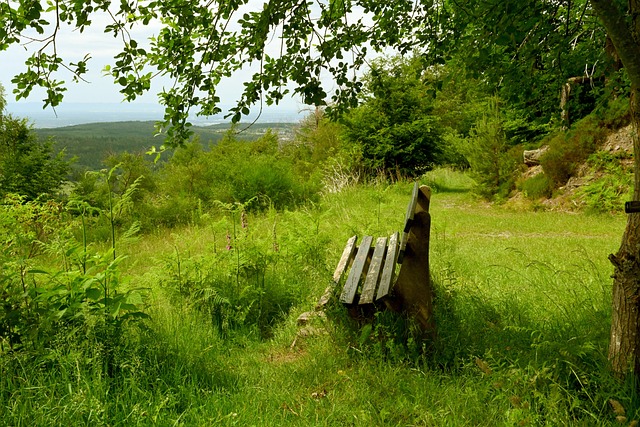 比赛格局