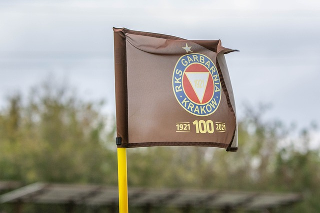 债务管理和