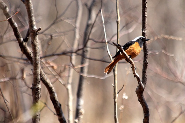 闻名